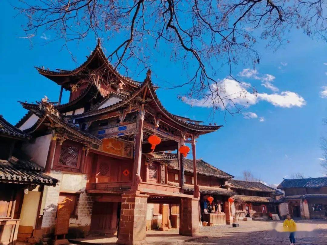 阿姆斯特丹迎来郁金香日 民众聚集广场采摘郁金香